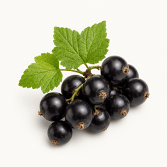 black currant